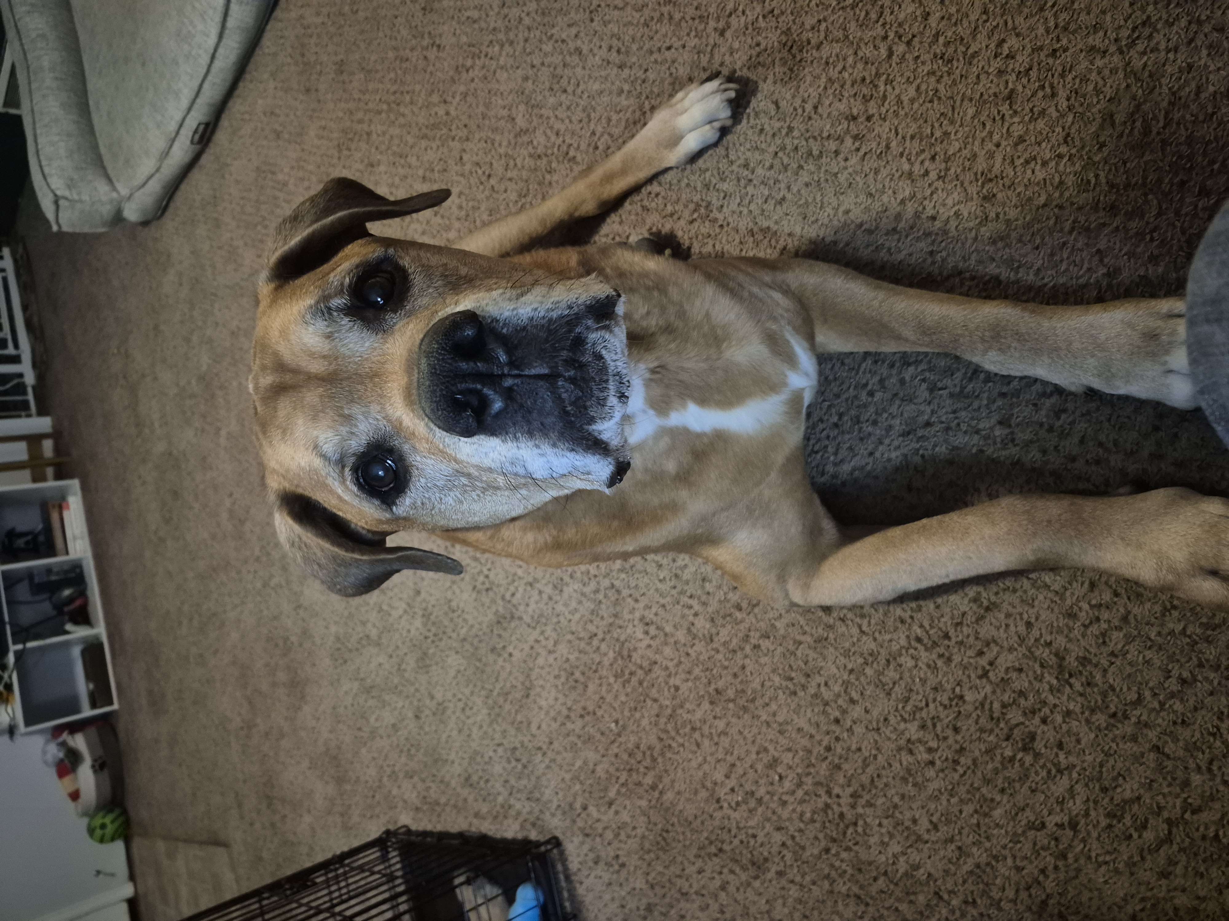 Clifford, photo 2